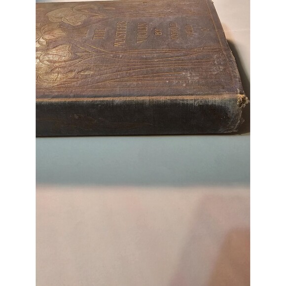 The Masters Violin Rare Old Book | Collectable Book | Unique Decor - Picture 9 of 10